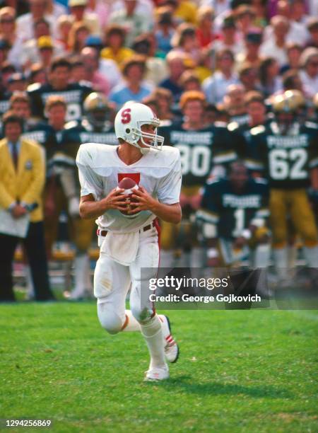 Quarterback John Elway of the Stanford University Cardinal drops back to pass during a college football game against the Purdue University...