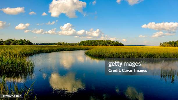 intercoastal waterways along the georgia coast - southeast stock pictures, royalty-free photos & images