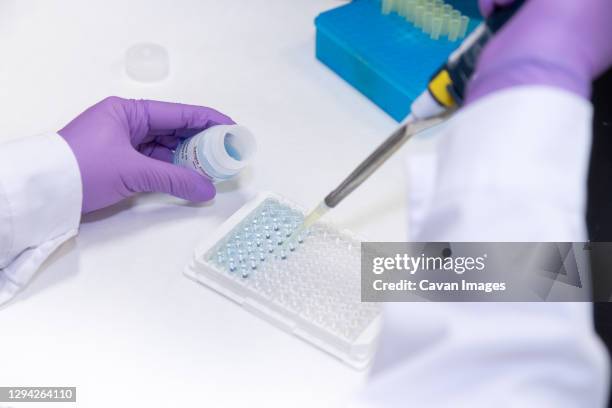 hands in gloves manipulating laboratory equipment - instrumento de la reacción en cadena de la polimerasa fotografías e imágenes de stock