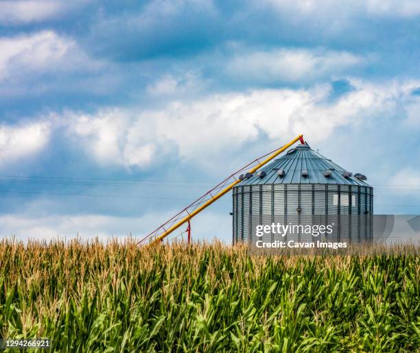 nebraska corn fields with crop storage - nebraska stock pictures, royalty-free photos & images