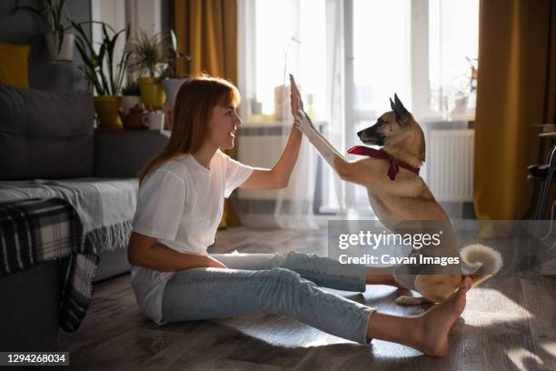 excited woman giving high five to dog - dierentrucs stockfoto's en -beelden