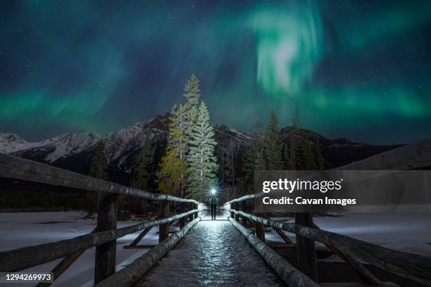 northern lights at pyramid island in jasper - canadian forest stock-fotos und bilder