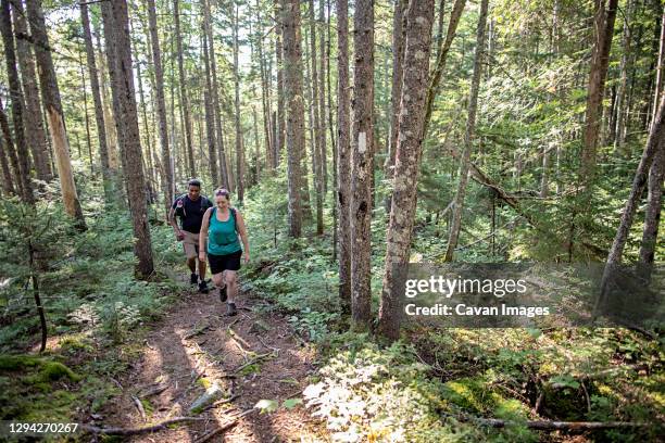 black man and white woman hike in woods on appalachian trail in maine - northern maine stock pictures, royalty-free photos & images