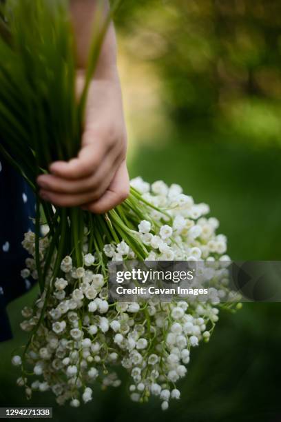 spring lily of the valley - lily of the valley imagens e fotografias de stock