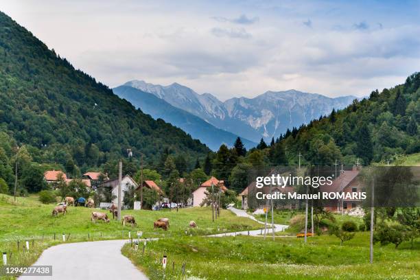 view of the soca river valley, slovenia - slovenia soca stock pictures, royalty-free photos & images