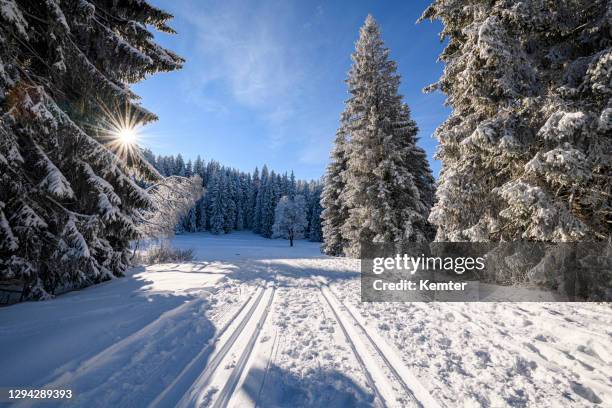 snowy winter landscape at the edge of the forest - cross country road trip stock pictures, royalty-free photos & images