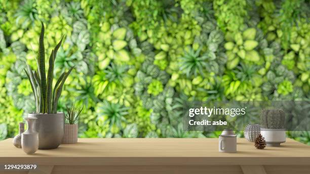 workplace with plants on wall background - living room product display stock pictures, royalty-free photos & images