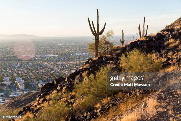 view of the city of phoenix arizona usa from the north phoenix trail. - phoenix arizona stock-fotos und bilder