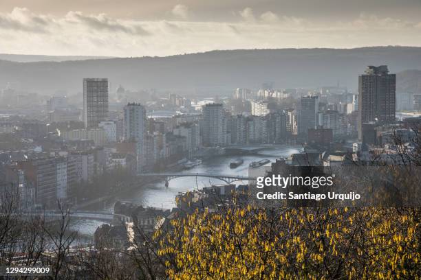 liege skyline - liege belgium stock pictures, royalty-free photos & images