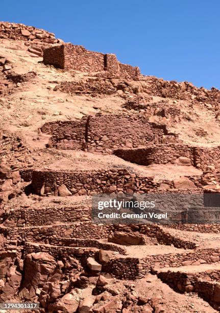 60 Quitor Stock Photos, High-Res Pictures, and Images - Getty Images