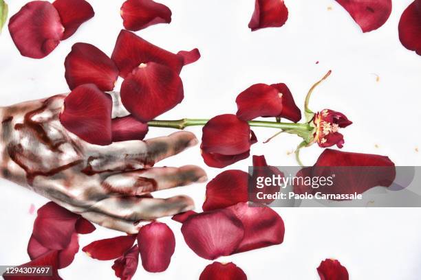 bloody hand with scattered red rose petals - senza speranza foto e immagini stock