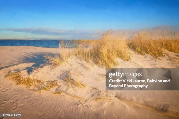 beautiful sand and sea grass against blue sky on long beach island - new jersey beach stock pictures, royalty-free photos & images