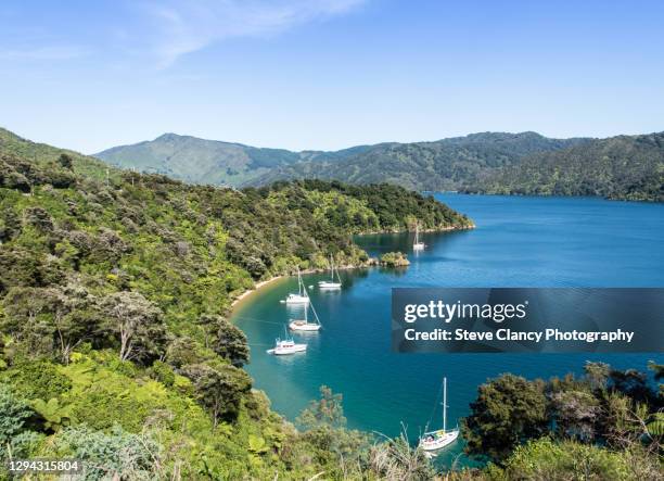 queen charlotte sound - marlborough new zealand photos et images de collection