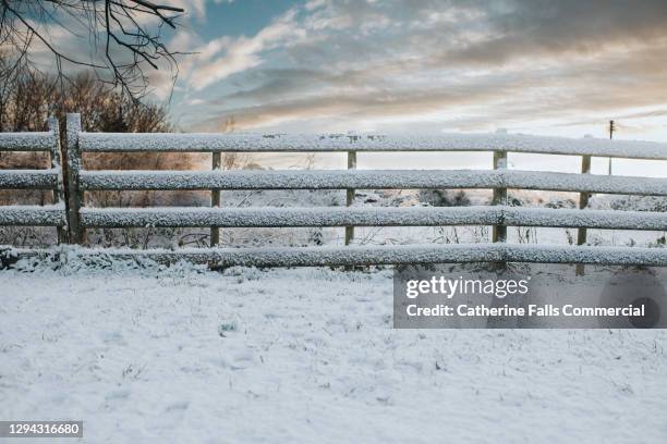 old wooden fence covered in snow - deckenverkleidung holz stock-fotos und bilder