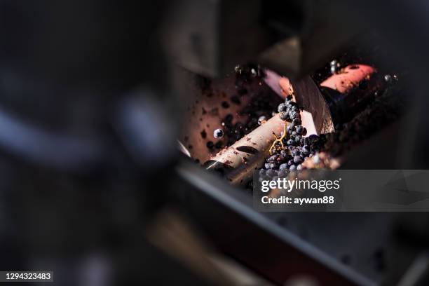 procesamiento industrial de la uva - vendimia fotografías e imágenes de stock