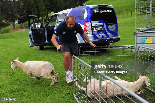 Former france rugby player Philippe Saint Andre participates in a sheep herding competition during a Land Rover media day at Sheepworld Farm on...