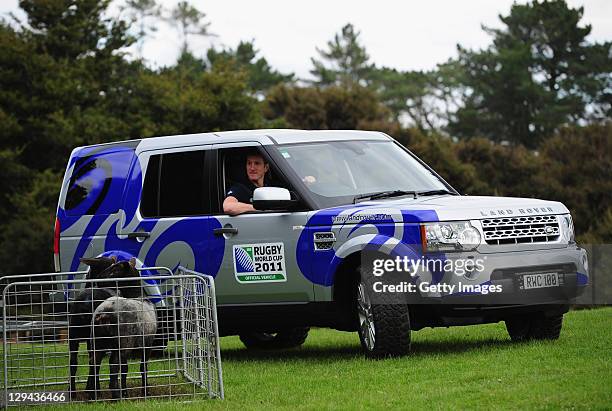 Former England rugby player Will Greenwood participates in a sheep herding competition during a Land Rover media day at Sheepworld Farm on October...