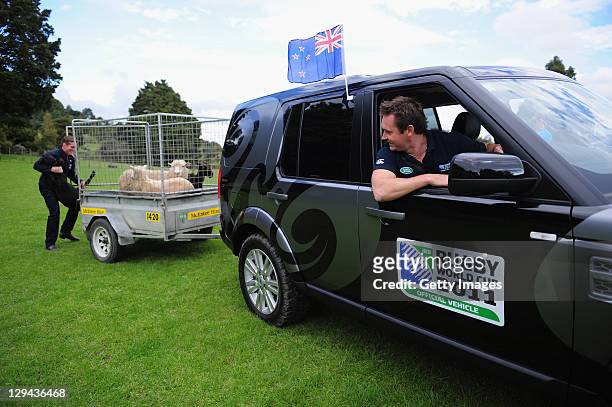 Former All Blacks player Andrew Mehrtens looks on as former Wallabies player Tim Horan rounds up sheep during a Land Rover media day at Sheepworld...