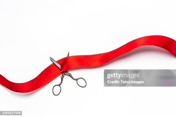 studio shot of old fashioned scissors cutting red ribbon - commencement ceremony stock pictures, royalty-free photos & images