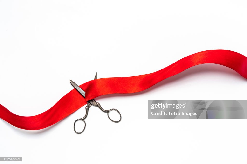 Studio shot of old fashioned scissors cutting red ribbon