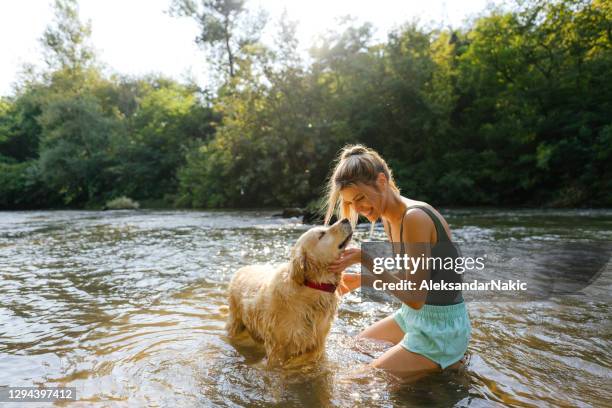 my furry swimmer - dog splashing stock pictures, royalty-free photos & images