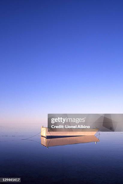 boat in sea - monkey mia stock pictures, royalty-free photos & images