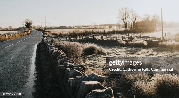 country road in a frosty rural scene - schneeregen stock-fotos und bilder