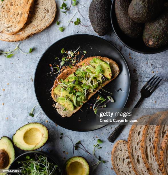 avocado toast on a plate with ingredients around it on stone counter. - rostbröd bildbanksfoton och bilder