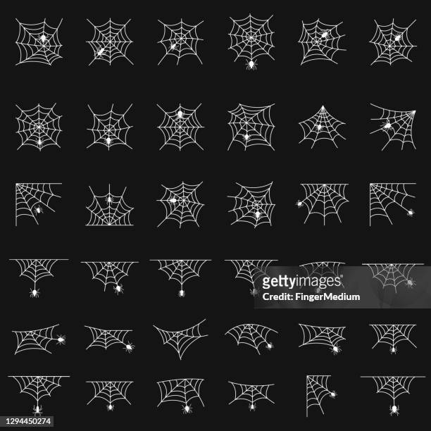ilustrações de stock, clip art, desenhos animados e ícones de spider web vector set - teia de aranha
