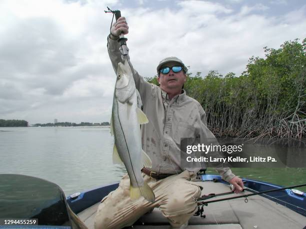 florida east coast fishing and fisherman showing a snook - snook fish photos et images de collection