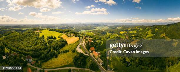 aerial panorama of of green hills and vineyards with mountains in background. austria vineyards landscape in kitzeck im sausal - styrka stock pictures, royalty-free photos & images