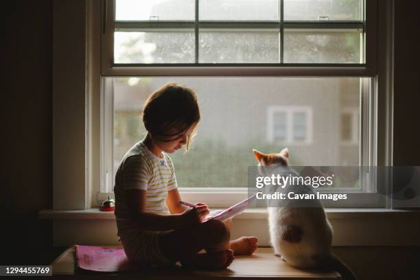 a little girl and her cat sit together peacefully on a window bench - ohio cat stock pictures, royalty-free photos & images