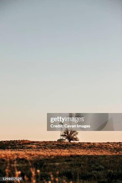 windmill stands guard over plains cimarron national grassland kansas - kansas drought stock pictures, royalty-free photos & images