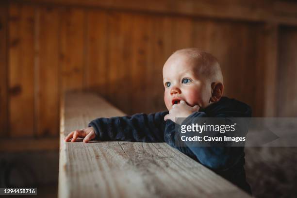 baby boy with blue eyes putting finger in mouth teething outside - kid putting finger in mouth stock-fotos und bilder