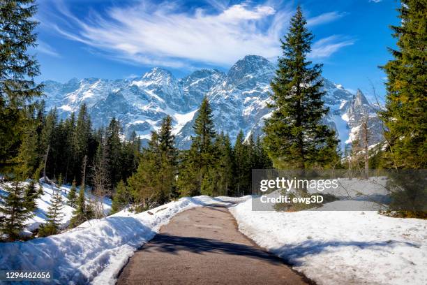 vakanties in polen -weg die leidt naar het morskie oko meer in het tatragebergte - tatra stockfoto's en -beelden