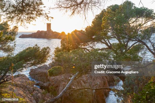 the île d'or located at the east of the city of saint-raphaël and facing the cape of le dramont, french riviera, var, provence-alpes-côte d’azur, france - provence alpes côte dazur 個照片及圖片檔