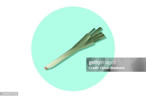 Spring Onion Symbol Spring Onion Icon Photos and Premium High Res Pictures - Getty Images