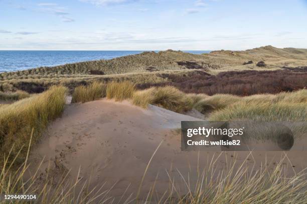 formby sand dunes seascape - blackpool-lancashire stockfoto's en -beelden