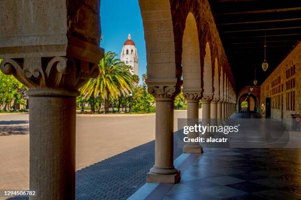 stanford university - stanford university campus stock pictures, royalty-free photos & images