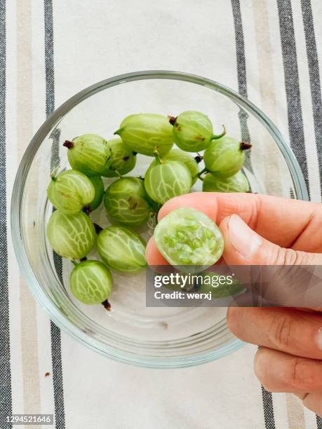 gooseberry - stachelbeere stock-fotos und bilder