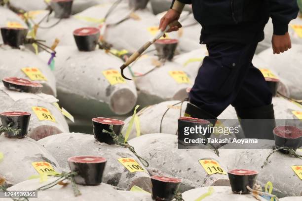 Buyers inspect tuna prior to the annual tuna auction at Toyosu Market on January 05, 2021 in Tokyo, Japan. Major wholesaler Yamayuki purchased the...