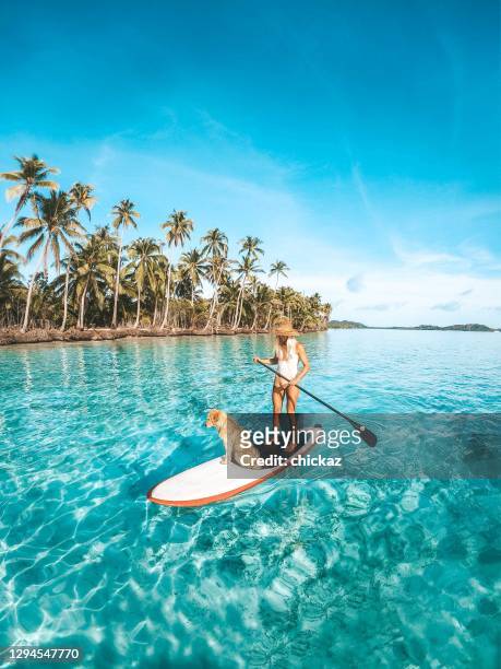 woman enjoying stand up paddle boarding in the tropics with her dog - indonesia surfing imagens e fotografias de stock