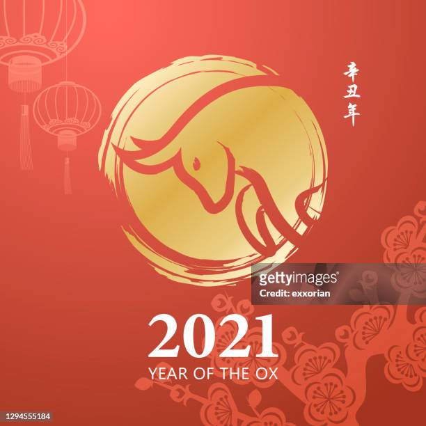 ilustraciones, imágenes clip art, dibujos animados e iconos de stock de año de la pintura china de buey - year of the ox