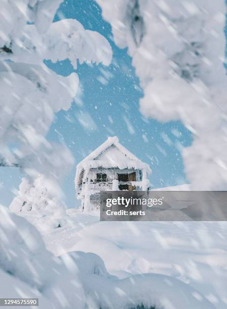 fantastic winter landscape with snow covered fir trees, old hut and mountains. - finland igloo stock pictures, royalty-free photos & images