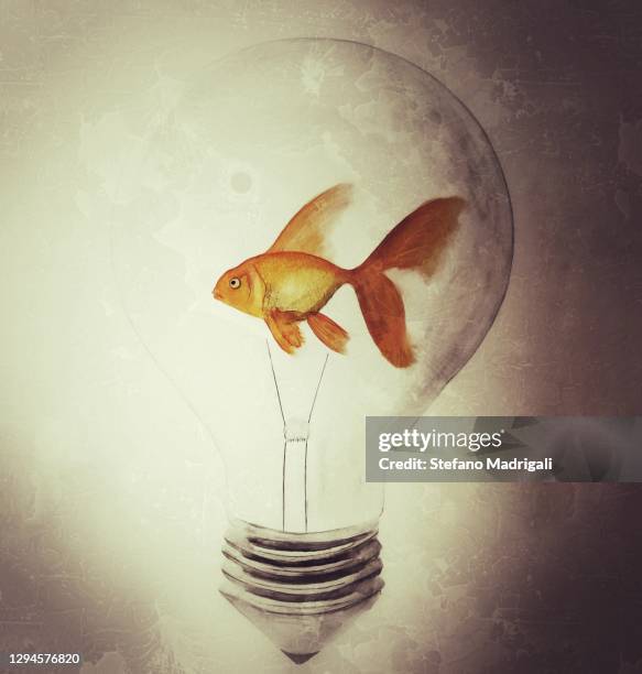 goldfish in a light bulb grunge, painted concept of idea - fish in bulb stock-fotos und bilder