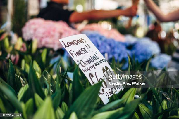 bunches oriental lily with hand written sign at flower market - columbia road stock pictures, royalty-free photos & images