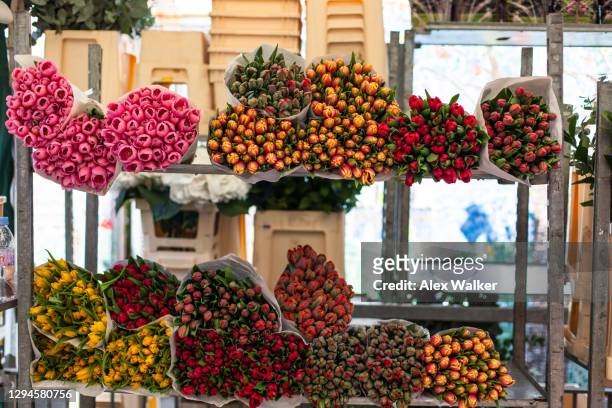 bunches of colourful tulips on shelves at flower market - columbia road stock pictures, royalty-free photos & images
