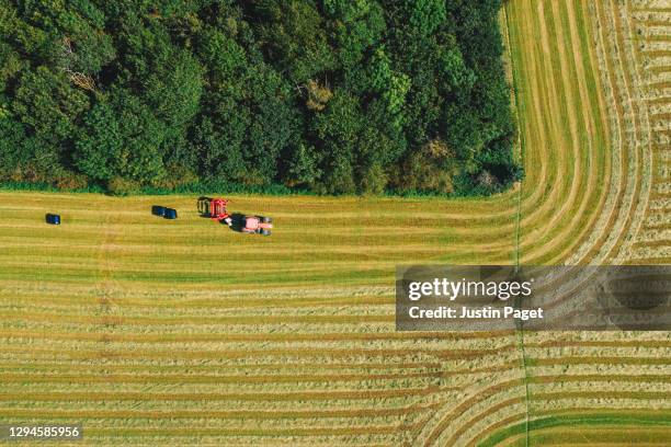 drone view onto agricultural field - a tractor is baling hay - bal odlad bildbanksfoton och bilder