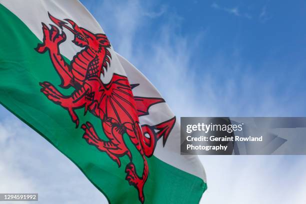 welsh dragon - welsh flag fotografías e imágenes de stock