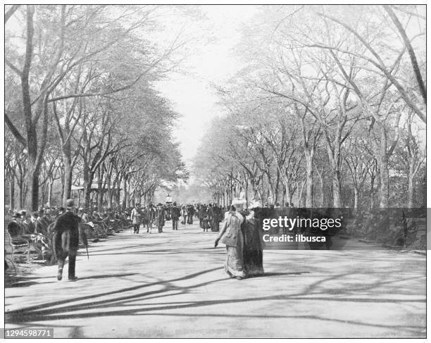 antique photograph: central park, new york - central park new york stock illustrations